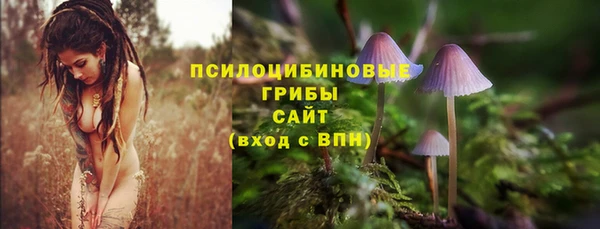 кокс Алексеевка