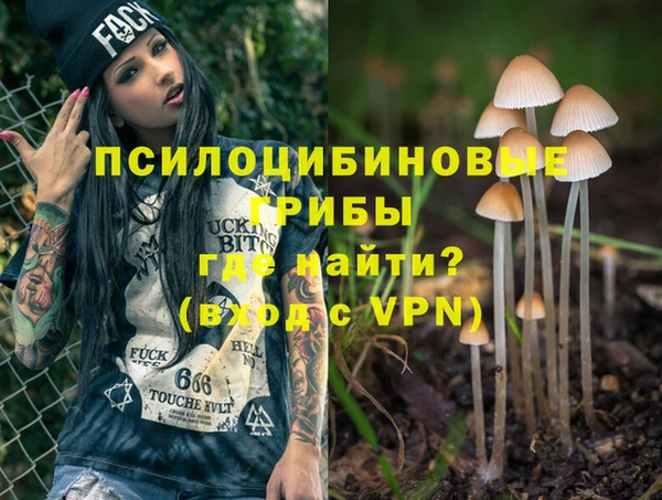 кокс Алексеевка