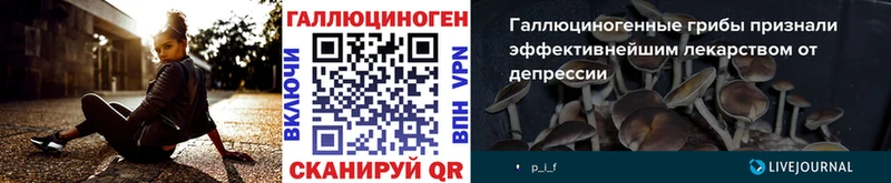 Купить закладки Балахна Галлюциногенные грибы прущие грибы