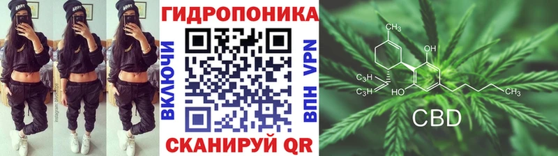 Бошки марихуана THC 21%  Купить где  Балахна 